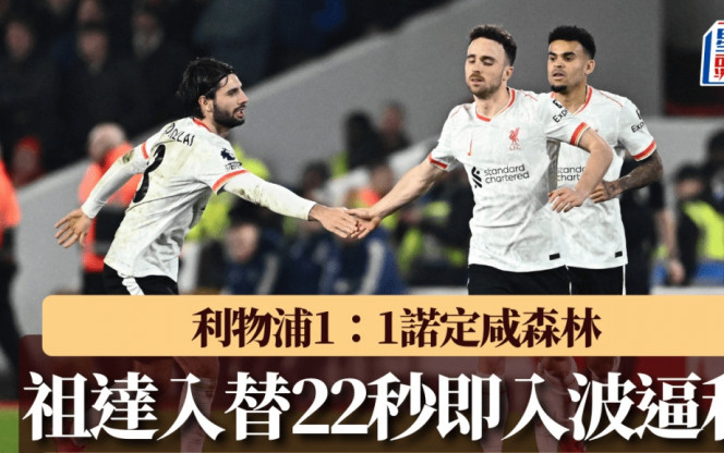的版图中